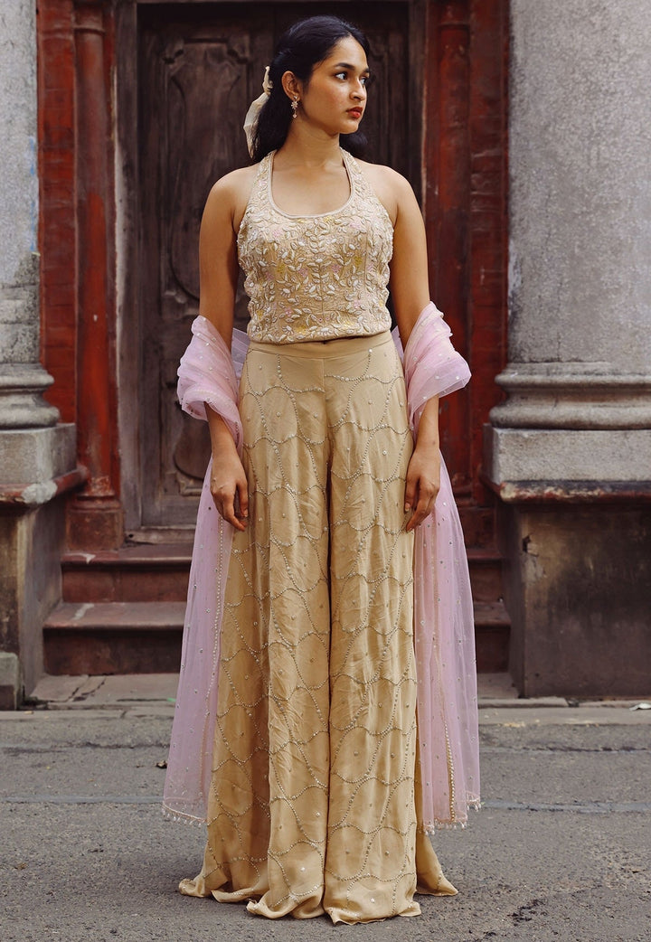 Blush Pink And Beige Blouse Pant Set Chamee and Palak - Fabilicious Fashion