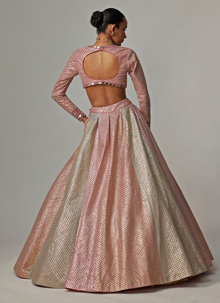 Blush Pink And Blue Pastel Hued Embroidered Lehenga Set Vvani by Vani Vats - Fabilicious Fashion