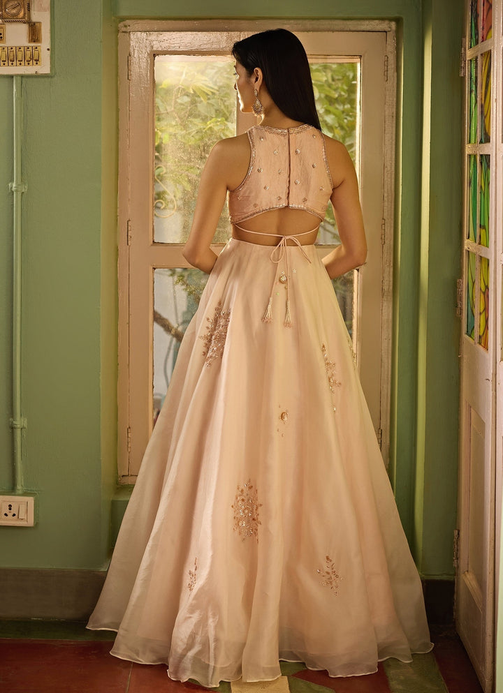 Blush Pink And Gold Embroidered Lehenga Set Zoon Tribe - Fabilicious Fashion