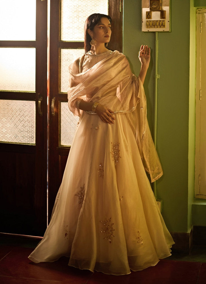 Blush Pink And Gold Embroidered Lehenga Set Zoon Tribe - Fabilicious Fashion