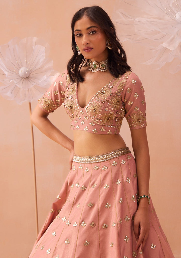 Blush Pink Embellished Lehenga Set Parul Gandhi - Fabilicious Fashion