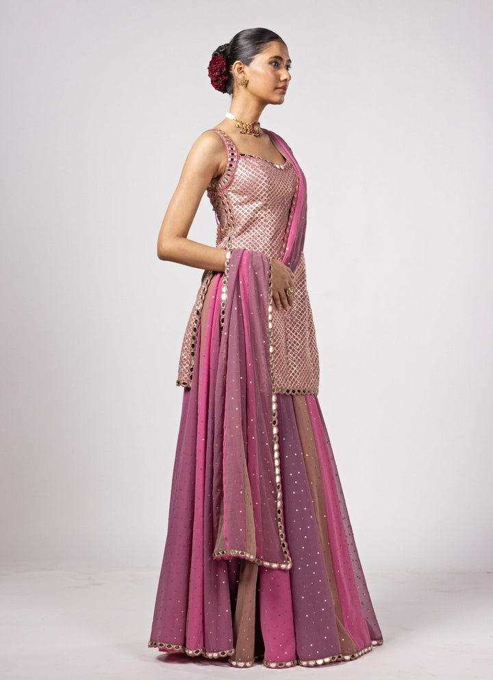 Blush Pink Embroidered Kurta Lehenga Pants Set Vvani by Vani Vats - Fabilicious Fashion