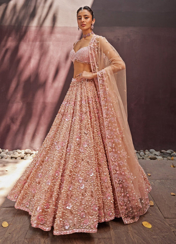 Blush Pink Embroidered Organza Lehenga Set Prevasu - Fabilicious Fashion