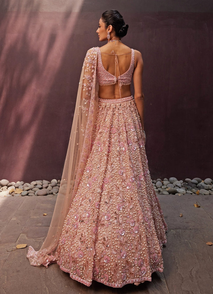 Blush Pink Embroidered Organza Lehenga Set Prevasu - Fabilicious Fashion