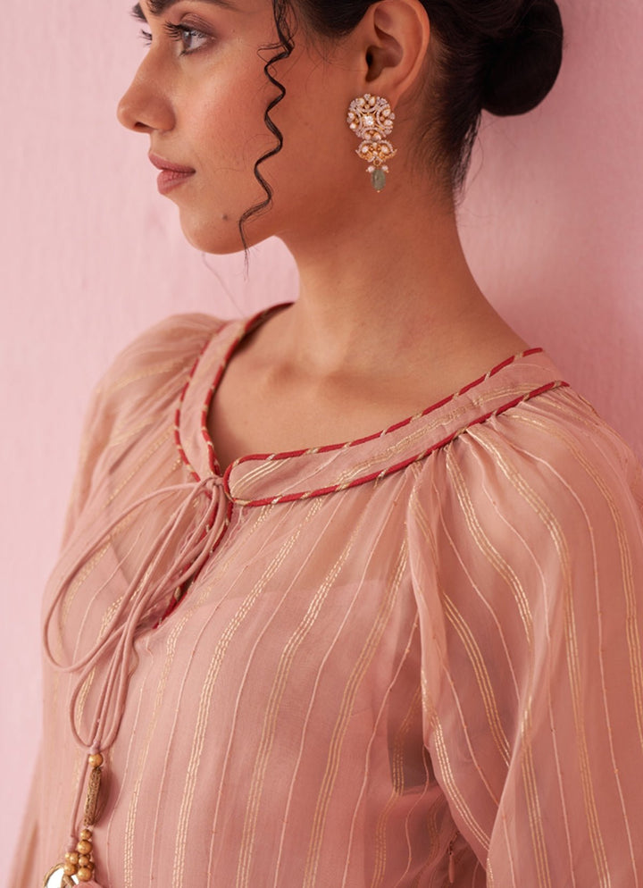 Blush Pink Embroidered Organza Shirt Pants Set Studio Bagechaa - Fabilicious Fashion