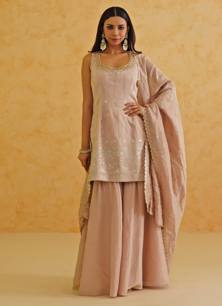 Blush Pink Kurta Garara Set Deepika Chadha - Fabilicious Fashion