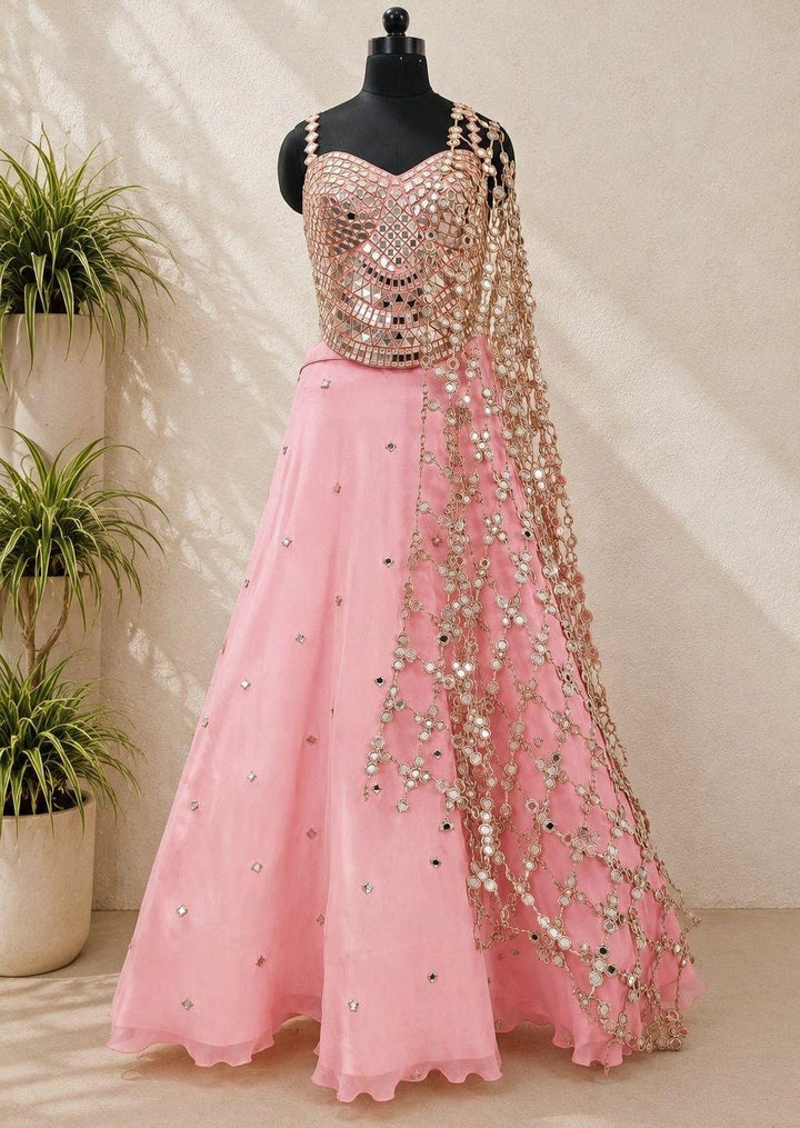 Anisha Shetty Blush Pink Organza Lehenga Set with Corset BlouseFabilicious Fashion