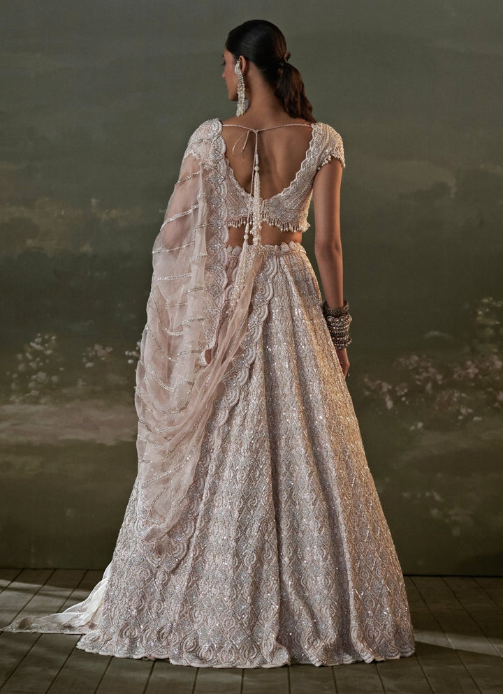 Blush Pink Organza Lehenga Set Nitika Gujral - Fabilicious Fashion