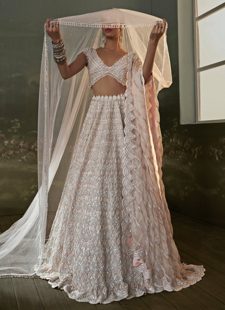 Blush Pink Organza Lehenga Set Nitika Gujral - Fabilicious Fashion