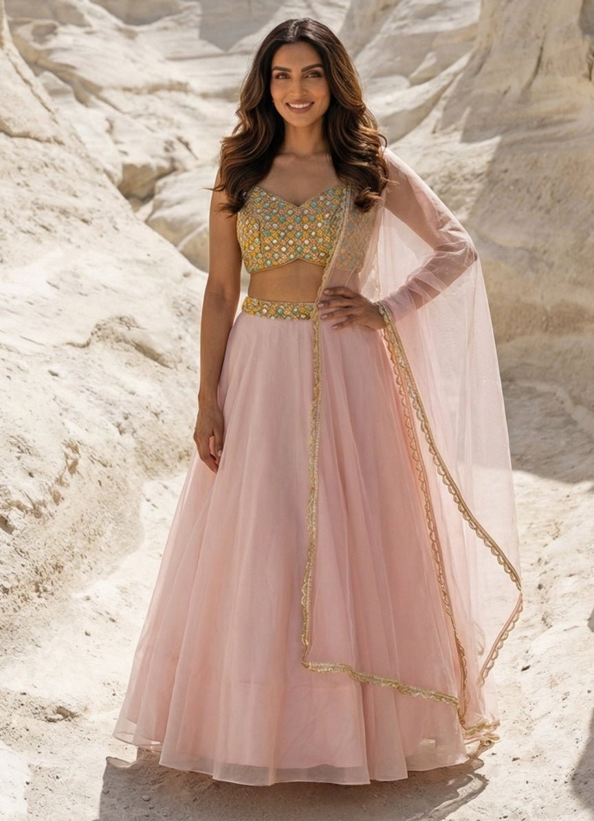 Blush Pink Organza Lehenga With Multicolour Blouse Anisha Shetty - Fabilicious Fashion
