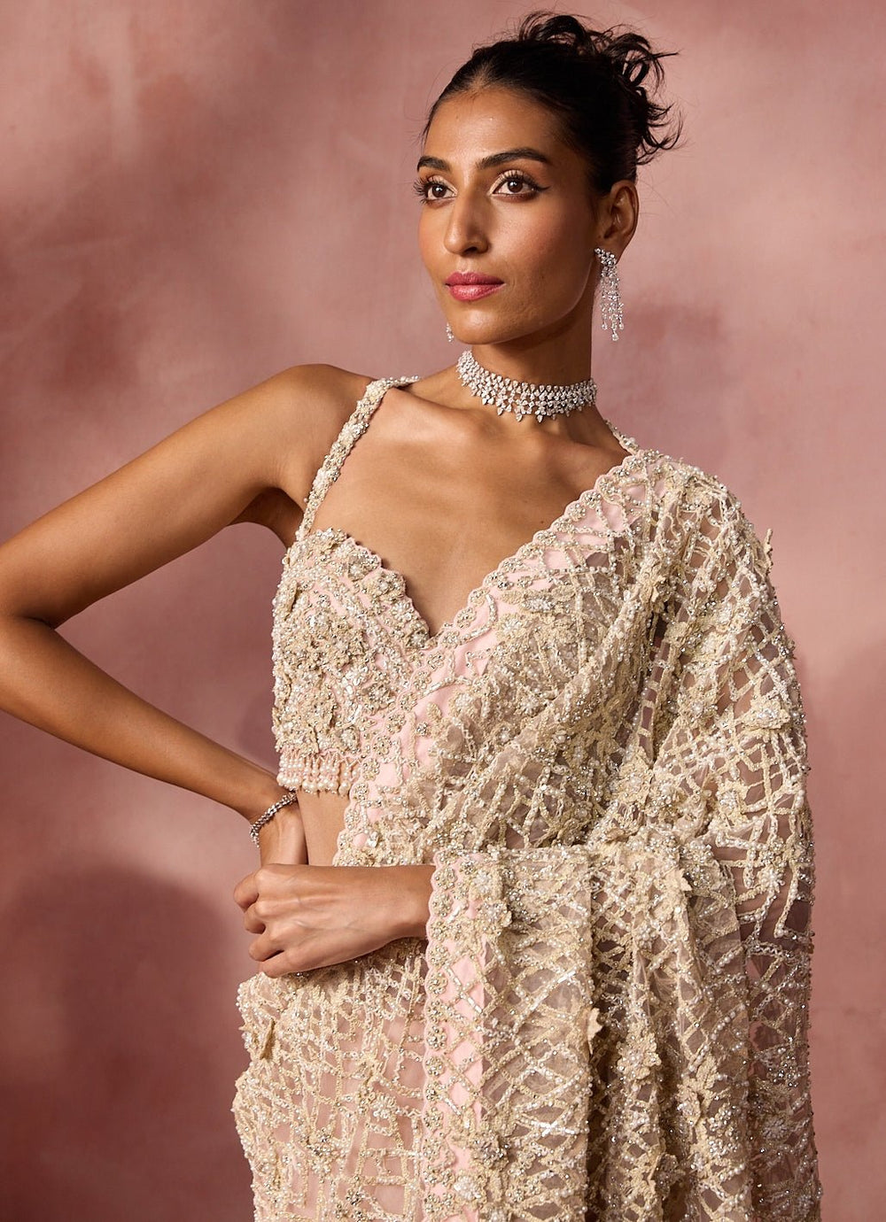 Blush Pink Soft Net Saree Nitika Gujral - Fabilicious Fashion