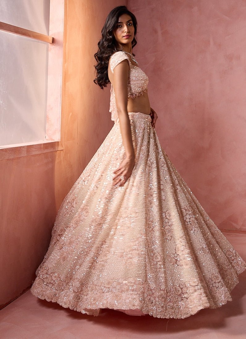 Blush Pink Tulle Lehenga Set Nitika Gujral - Fabilicious Fashion