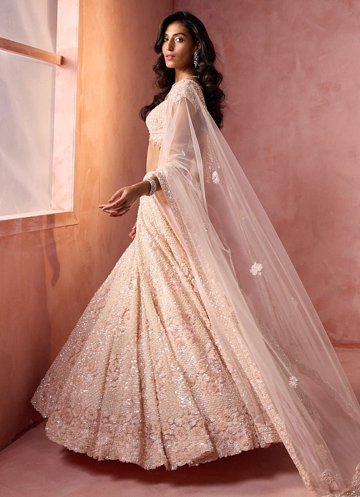 Blush Pink Tulle Lehenga Set Nitika Gujral - Fabilicious Fashion