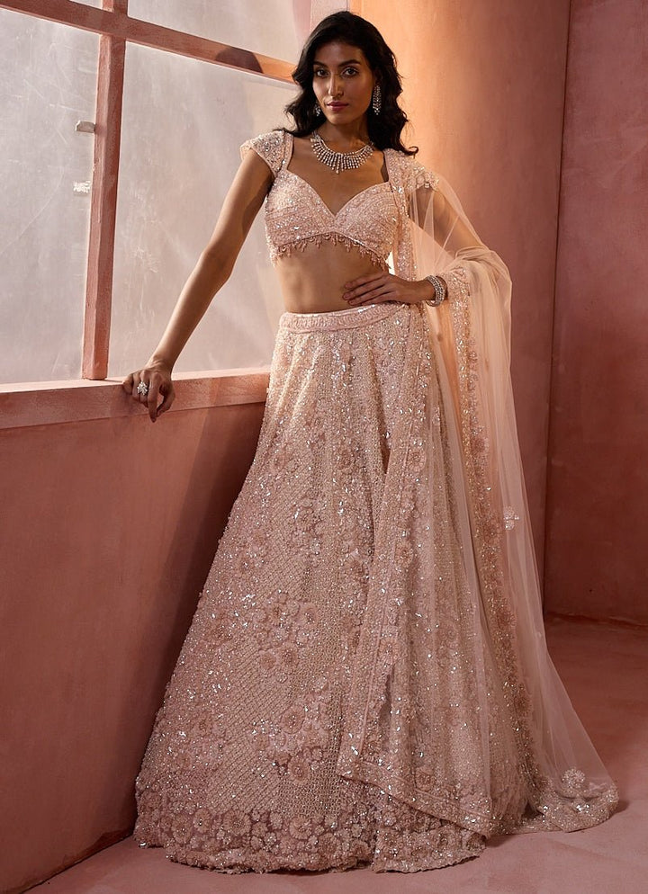 Blush Pink Tulle Lehenga Set Nitika Gujral - Fabilicious Fashion