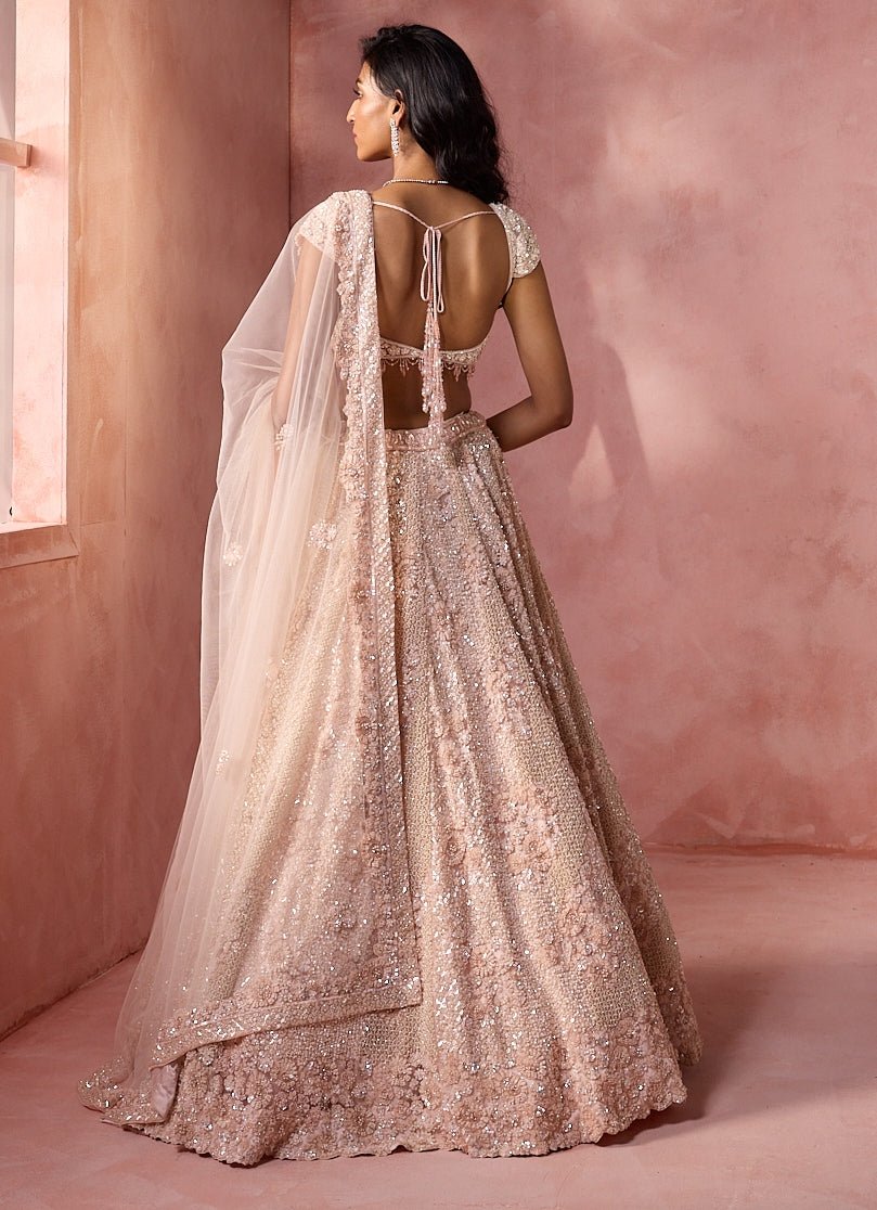Blush Pink Tulle Lehenga Set Nitika Gujral - Fabilicious Fashion