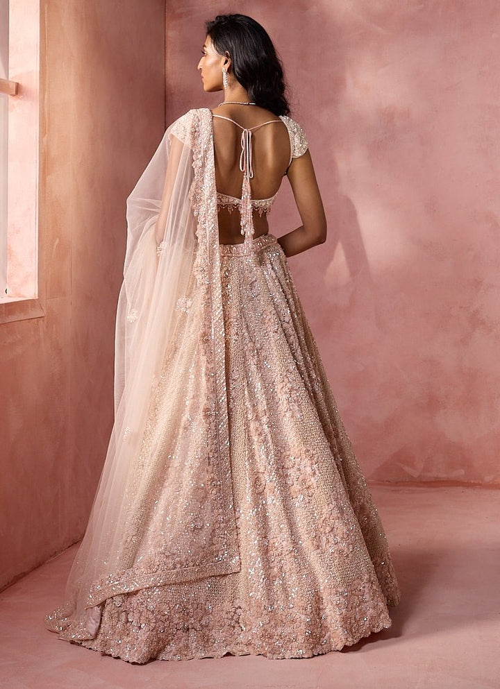 Blush Pink Tulle Lehenga Set Nitika Gujral - Fabilicious Fashion