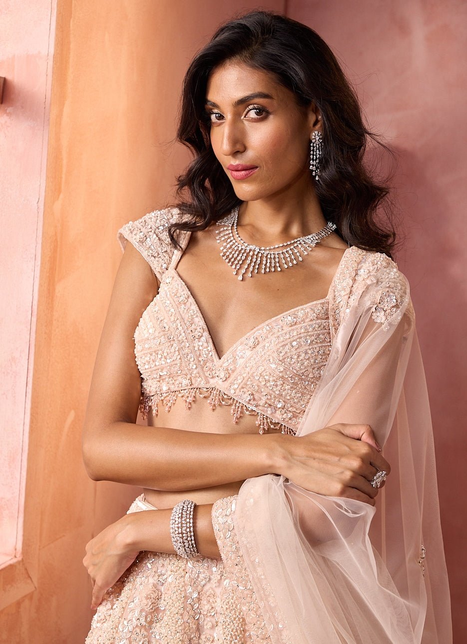 Blush Pink Tulle Lehenga Set Nitika Gujral - Fabilicious Fashion