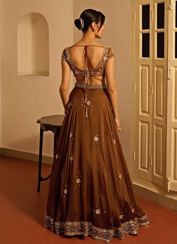 Brown Embroidered Silk Organza Lehenga Zoon Tribe - Fabilicious Fashion