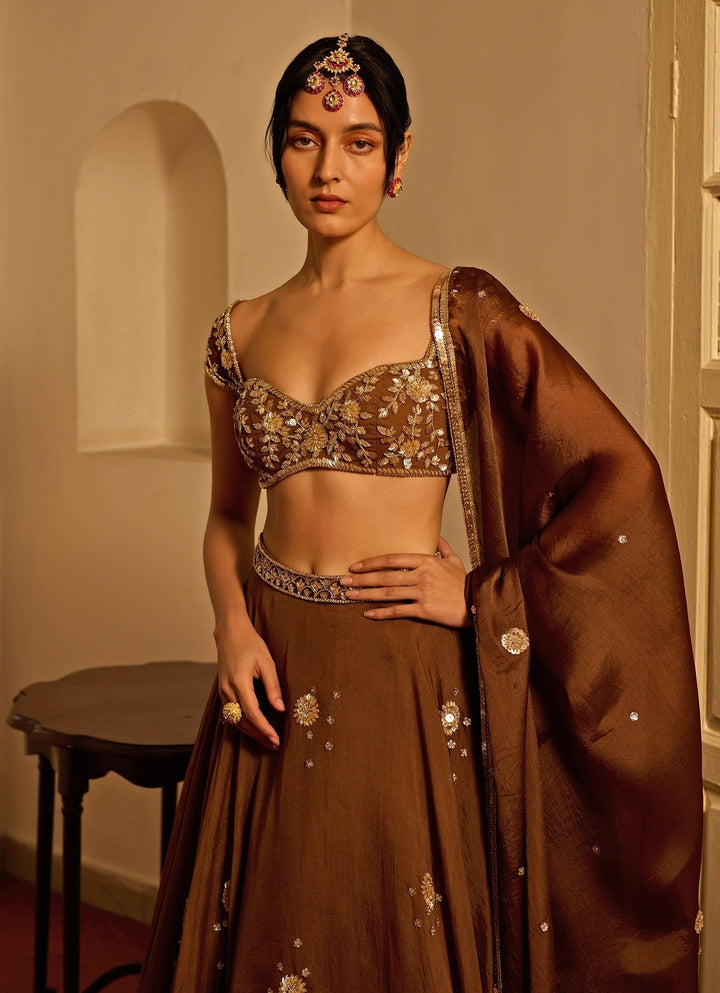 Brown Embroidered Silk Organza Lehenga Zoon Tribe - Fabilicious Fashion