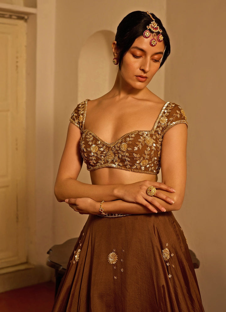 Brown Embroidered Silk Organza Lehenga Zoon Tribe - Fabilicious Fashion