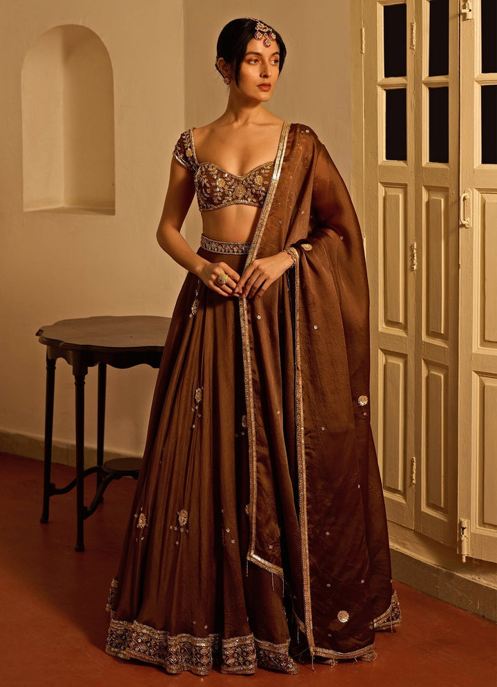 Brown Embroidered Silk Organza Lehenga Zoon Tribe - Fabilicious Fashion