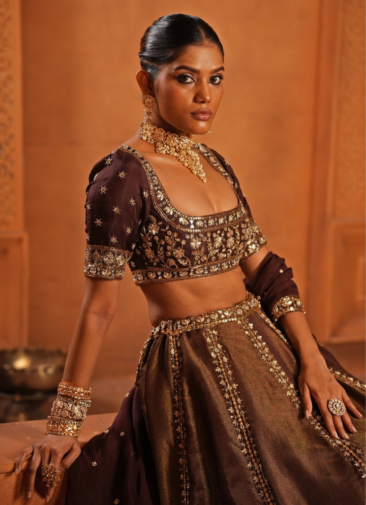 Brown Embroidered Zari Silk Lehenga Enamour by Radha - Fabilicious Fashion