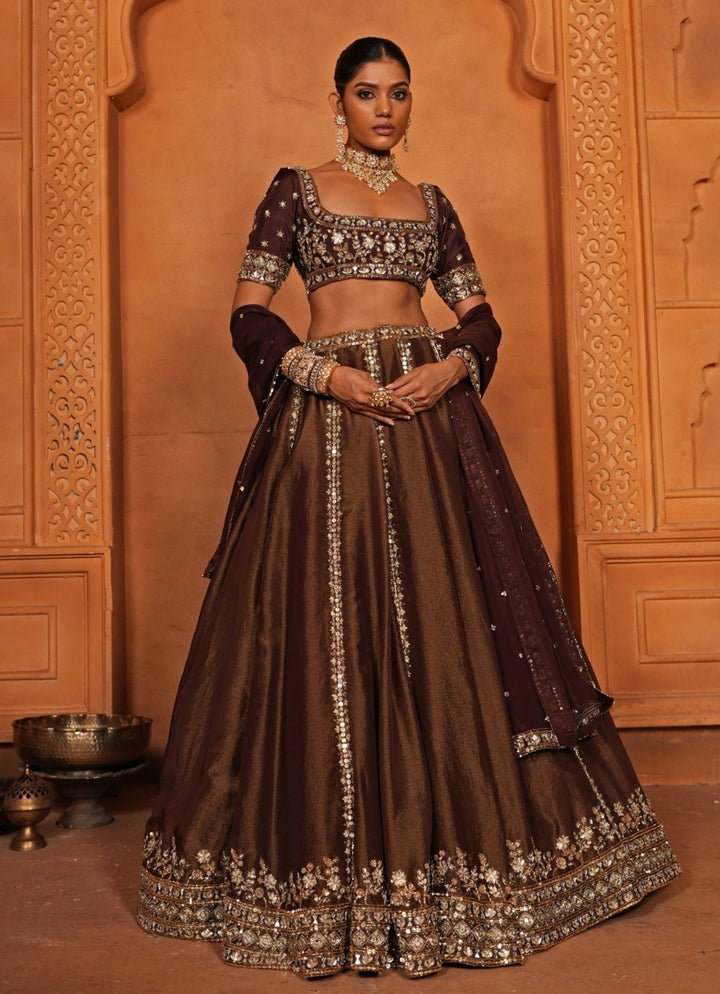Brown Embroidered Zari Silk Lehenga Enamour by Radha - Fabilicious Fashion