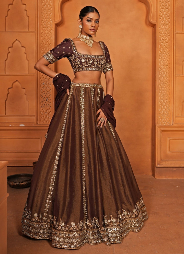 Brown Embroidered Zari Silk Lehenga Enamour by Radha - Fabilicious Fashion