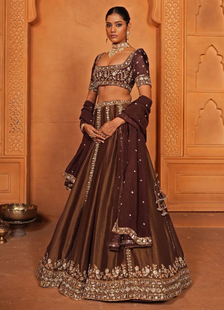 Brown Embroidered Zari Silk Lehenga Enamour by Radha - Fabilicious Fashion