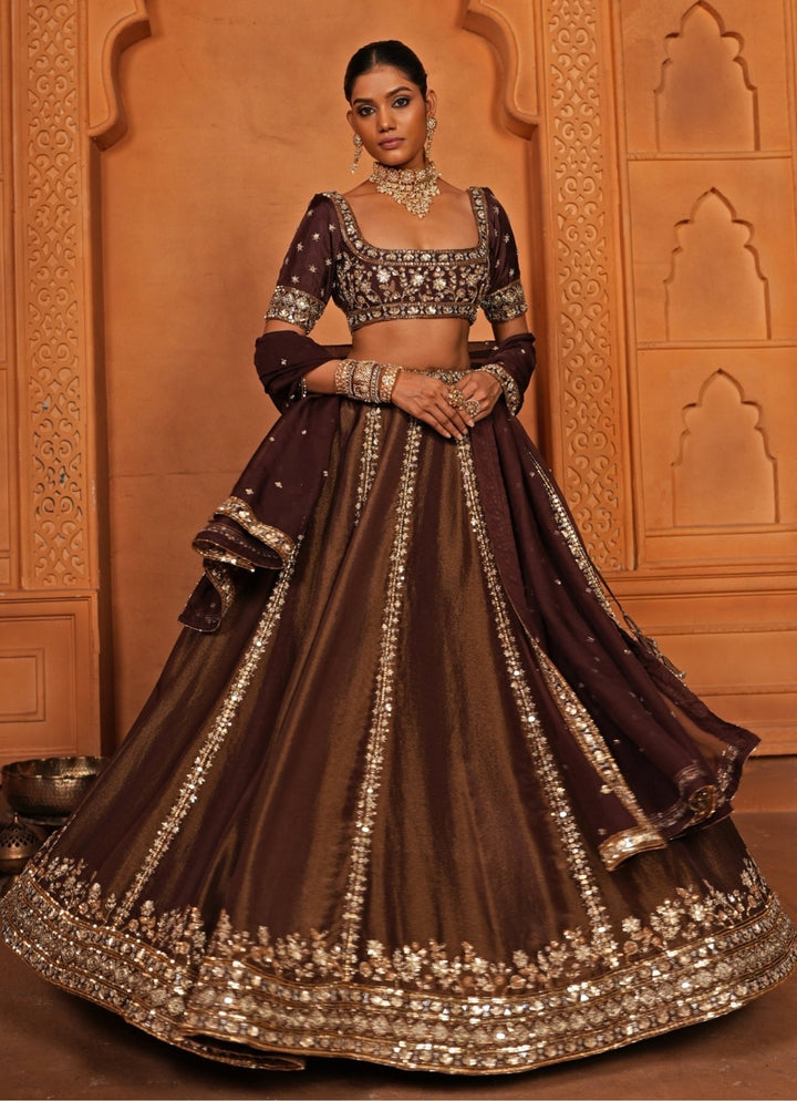 Brown Embroidered Zari Silk Lehenga Enamour by Radha - Fabilicious Fashion