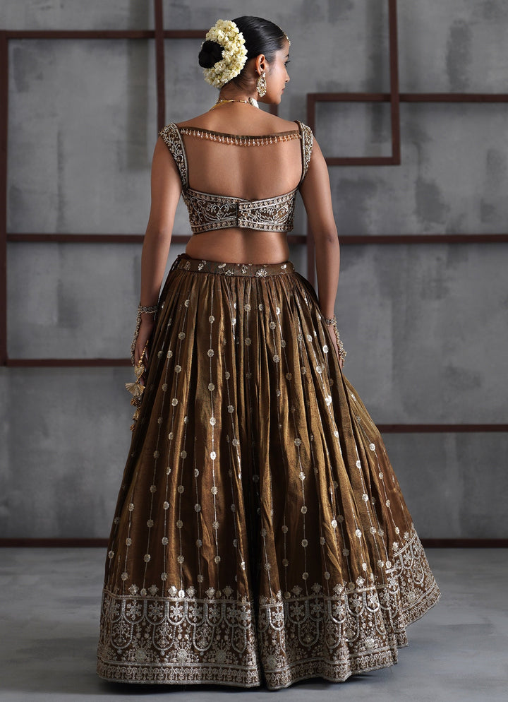 Brown Tissue Lehenga Set Deepika Chadha - Fabilicious Fashion