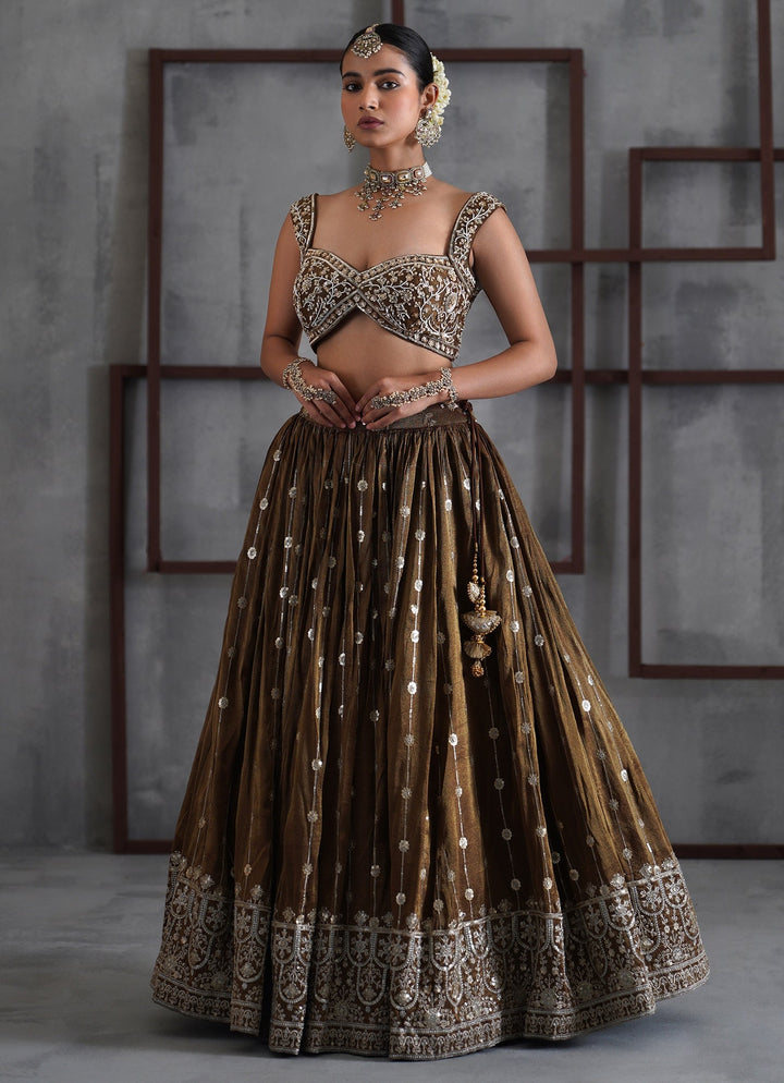 Brown Tissue Lehenga Set Deepika Chadha - Fabilicious Fashion