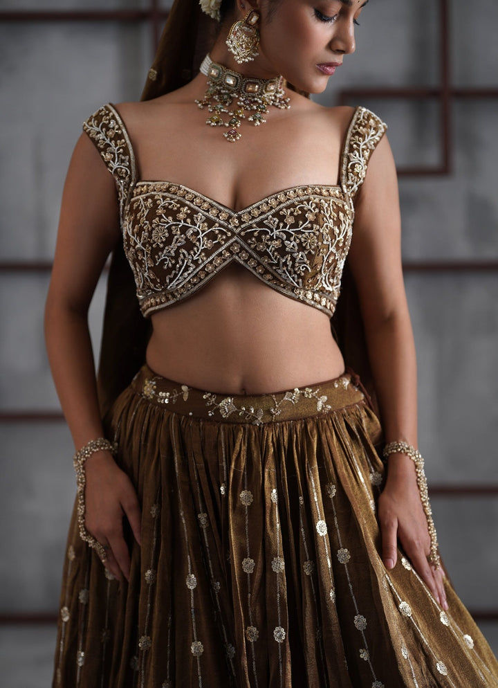 Brown Tissue Lehenga Set Deepika Chadha - Fabilicious Fashion