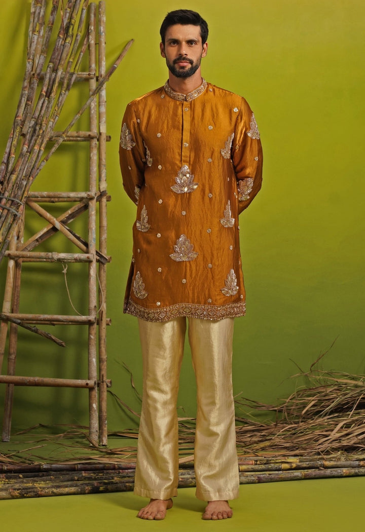 Burnt Orange Tissue Silk Short Kurta Set Kalpraag - Fabilicious Fashion