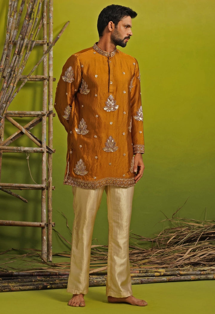 Burnt Orange Tissue Silk Short Kurta Set Kalpraag - Fabilicious Fashion