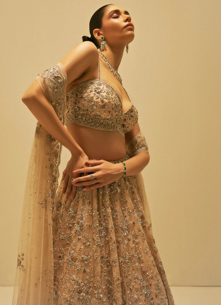 Champagne Crystal Embroidered Lehenga Se Angad Singh - Fabilicious Fashion
