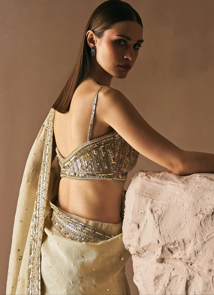 Champagne Gold Embroidered Tissue Saree Set Angad Singh - Fabilicious Fashion