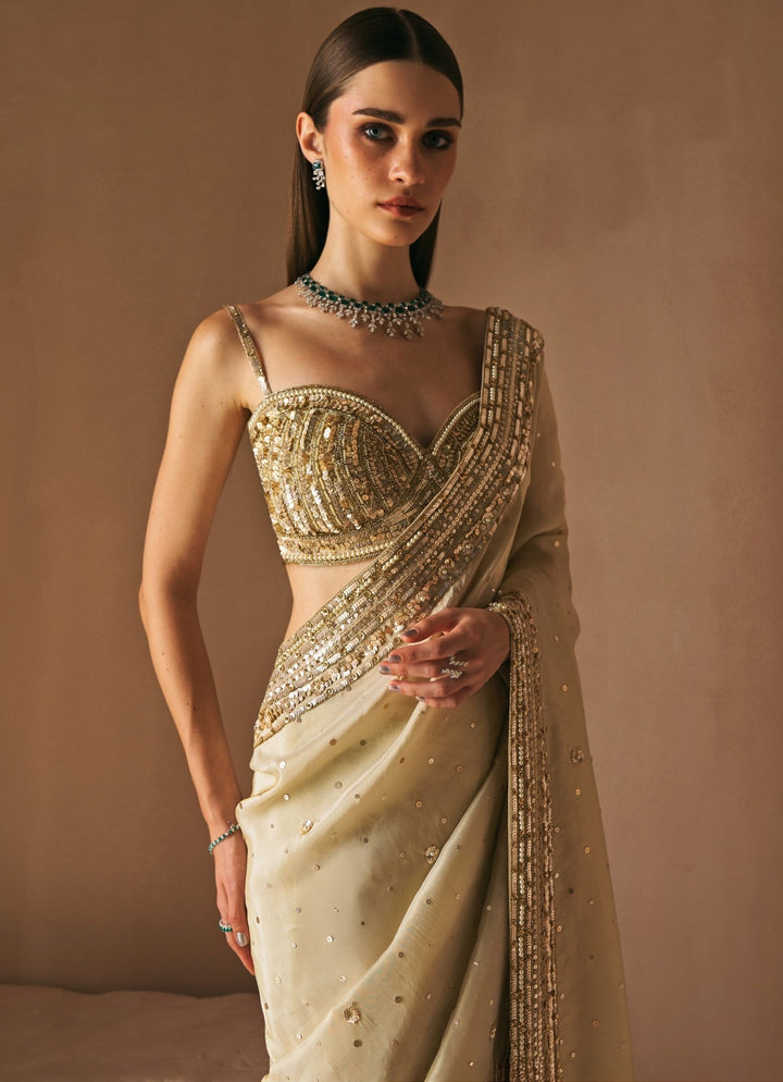 Champagne Gold Embroidered Tissue Saree Set Angad Singh - Fabilicious Fashion