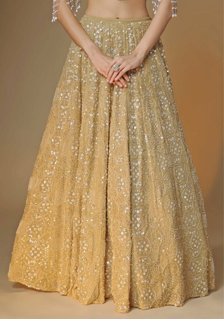 Renee Label Champagne Gold Georgette Lehenga SetFabilicious Fashion
