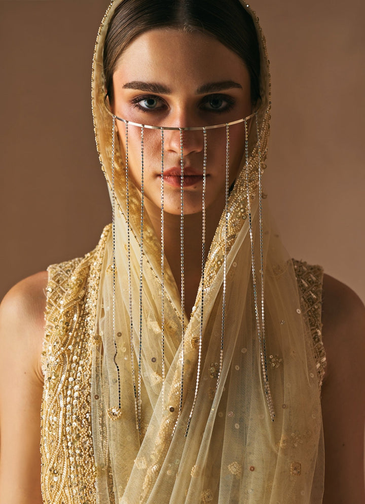 Champagne Gold Soft Net Embroidered Saree Set Angad Singh - Fabilicious Fashion