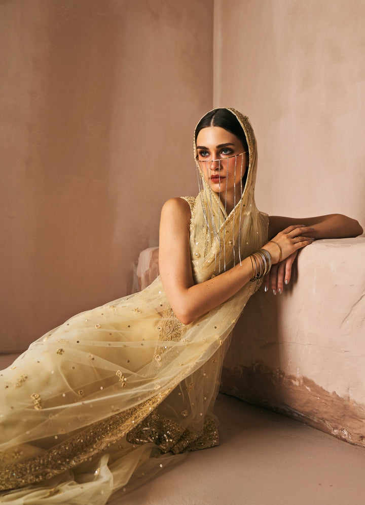 Champagne Gold Soft Net Embroidered Saree Set Angad Singh - Fabilicious Fashion
