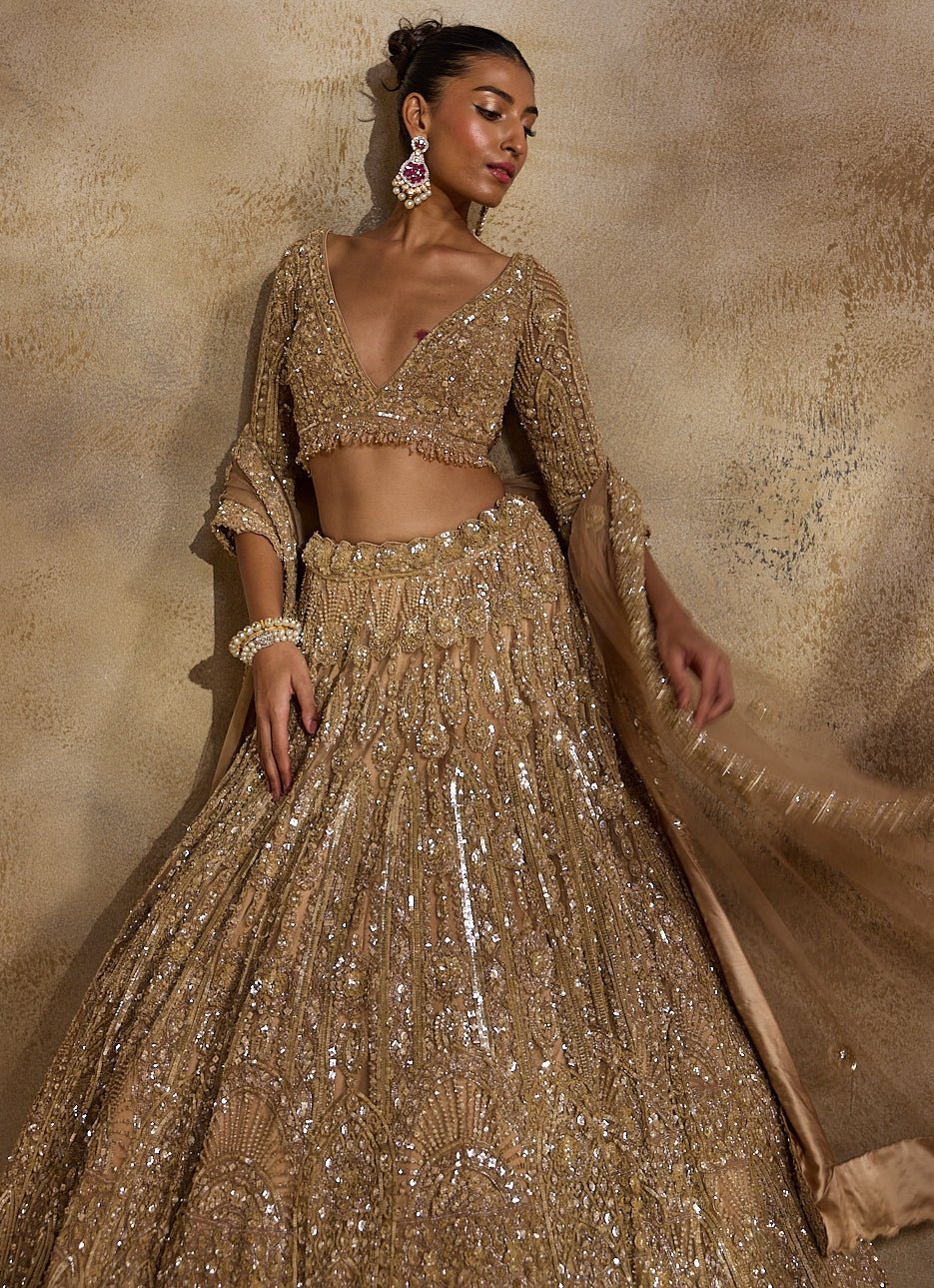 Champagne Gold Tulle Lehenga Set Nitika Gujral - Fabilicious Fashion