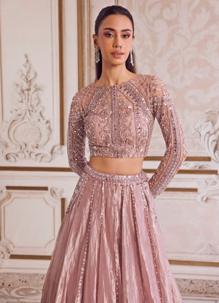 Champagne Lilac Tissue Lehenga Set Sanya Gulati - Fabilicious Fashion