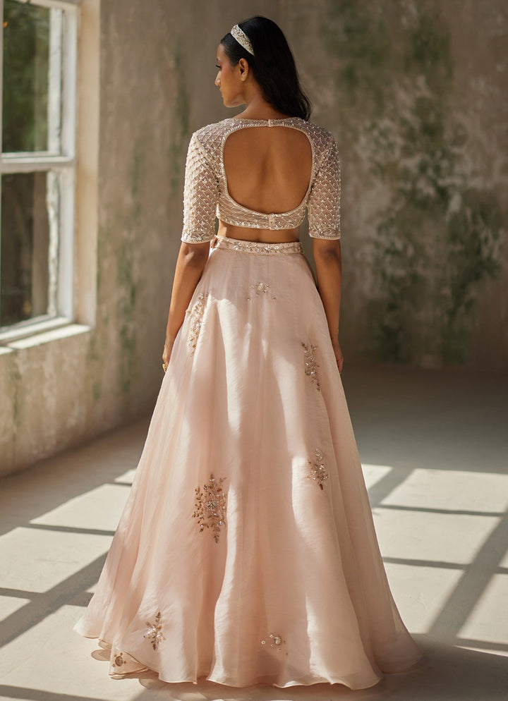 Champagne Pink Embroidered Lehenga Set Zoon Tribe - Fabilicious Fashion