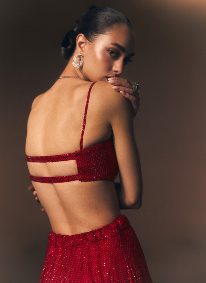 Angad Singh Cherry Red Soft Net Lehenga SetFabilicious Fashion