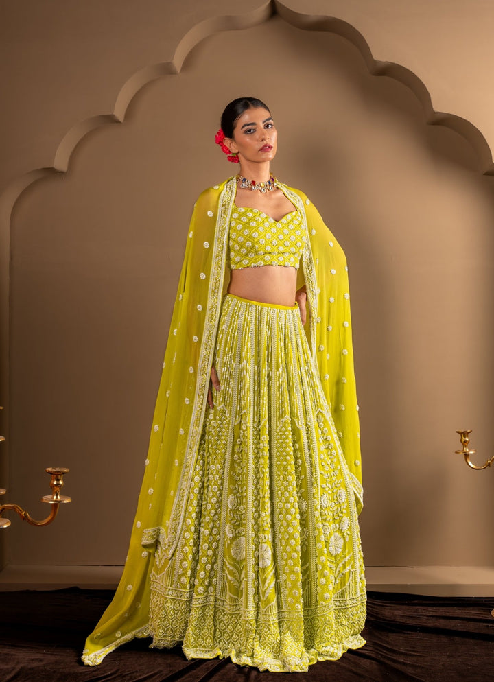 Citrus Green Georgette Lehenga Set Renee Label - Fabilicious Fashion