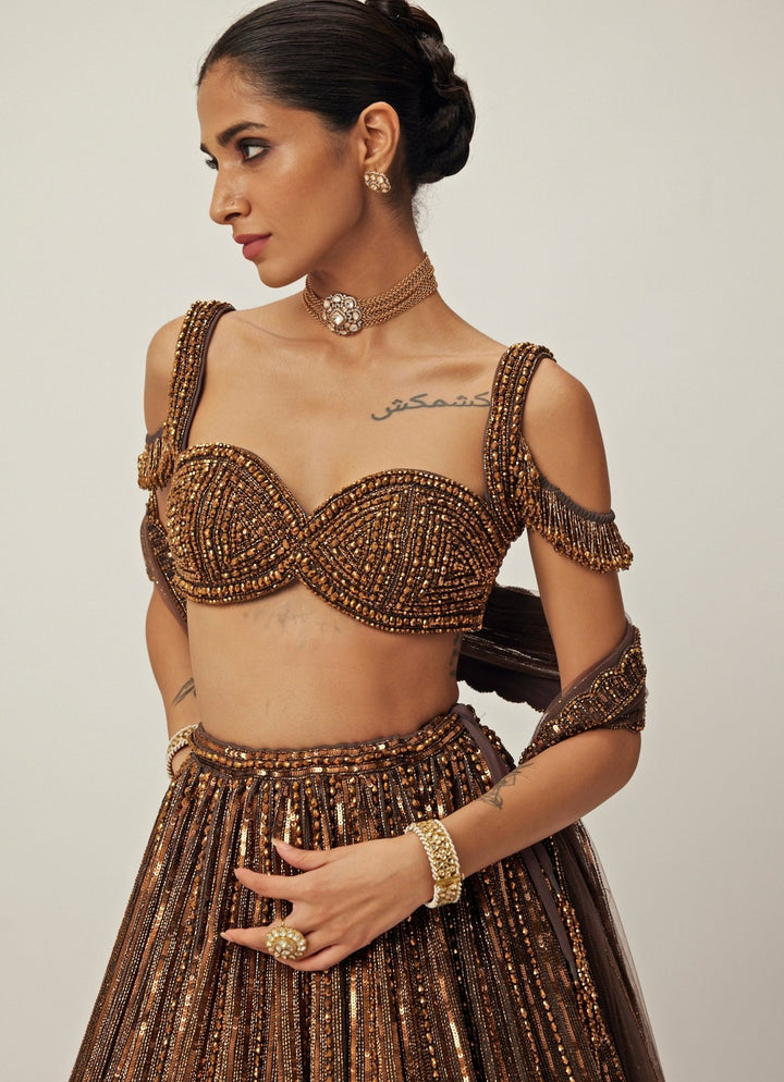Copper Crystal Linear Embroidered Organza Lehenga Set Vvani By Vani Vats - Fabilicious Fashion