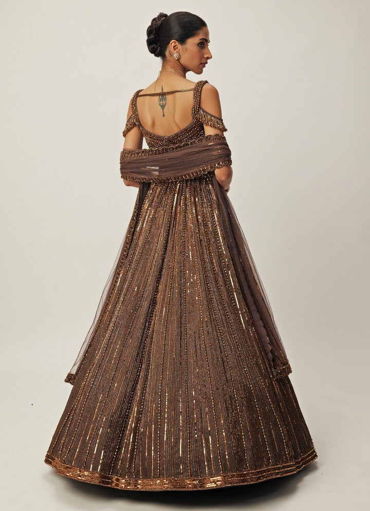 Copper Crystal Linear Embroidered Organza Lehenga Set Vvani By Vani Vats - Fabilicious Fashion