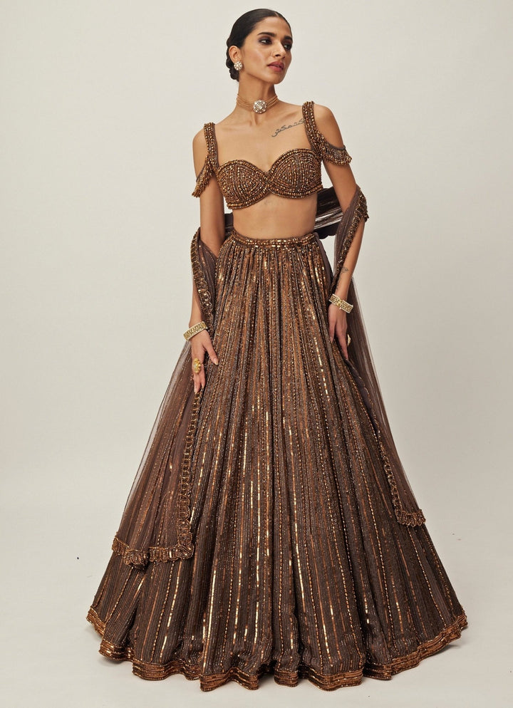Copper Crystal Linear Embroidered Organza Lehenga Set Vvani By Vani Vats - Fabilicious Fashion