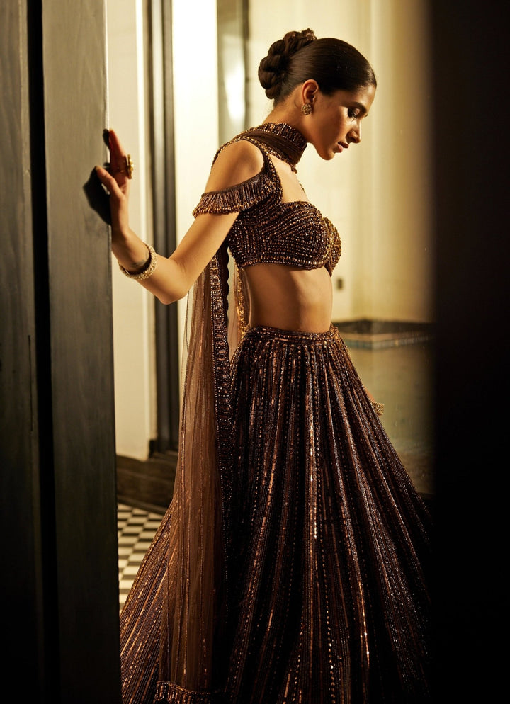 Copper Crystal Linear Embroidered Organza Lehenga Set Vvani By Vani Vats - Fabilicious Fashion